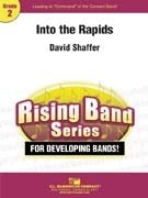 Into the Rapids - David Shaffer